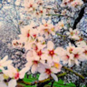 Meet your Posher, Vic